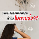 หมดปัญหาหลังคารั่วซึมซ้ำซาก หากเลือกใช้ช่างซ่อมหลังคาชำนาญงาน