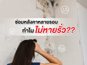 หมดปัญหาหลังคารั่วซึมซ้ำซาก หากเลือกใช้ช่างซ่อมหลังคาชำนาญงาน