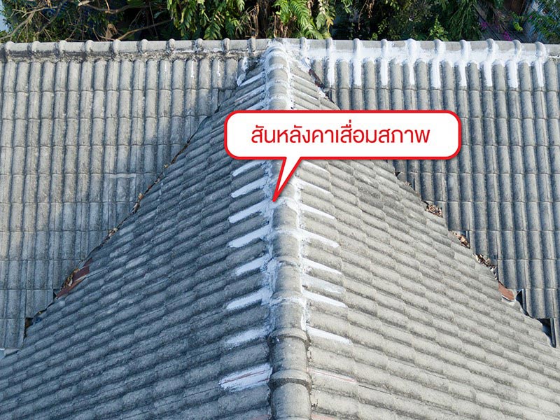 หมดปัญหาหลังคารั่วซึมซ้ำซาก หากเลือกใช้ช่างซ่อมหลังคาชำนาญงาน