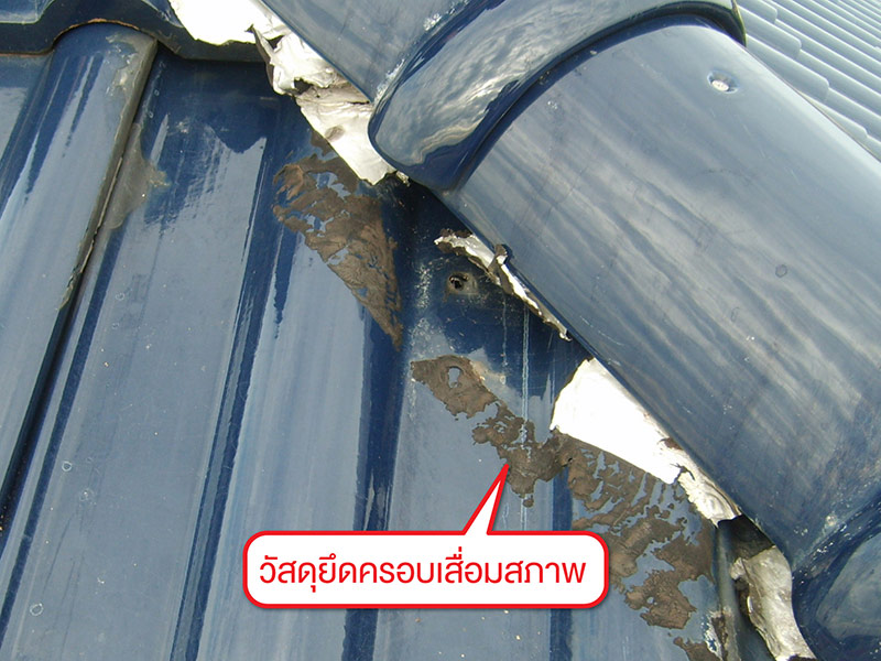 หมดปัญหาหลังคารั่วซึมซ้ำซาก หากเลือกใช้ช่างซ่อมหลังคาชำนาญงาน