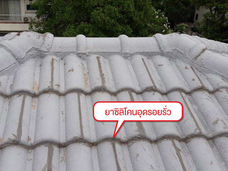 หมดปัญหาหลังคารั่วซึมซ้ำซาก หากเลือกใช้ช่างซ่อมหลังคาชำนาญงาน