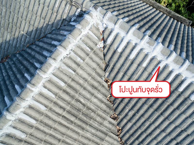 หมดปัญหาหลังคารั่วซึมซ้ำซาก หากเลือกใช้ช่างซ่อมหลังคาชำนาญงาน