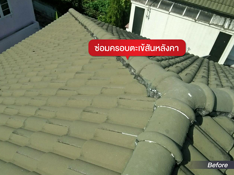 หมดปัญหาหลังคารั่วซึมซ้ำซาก หากเลือกใช้ช่างซ่อมหลังคาชำนาญงาน