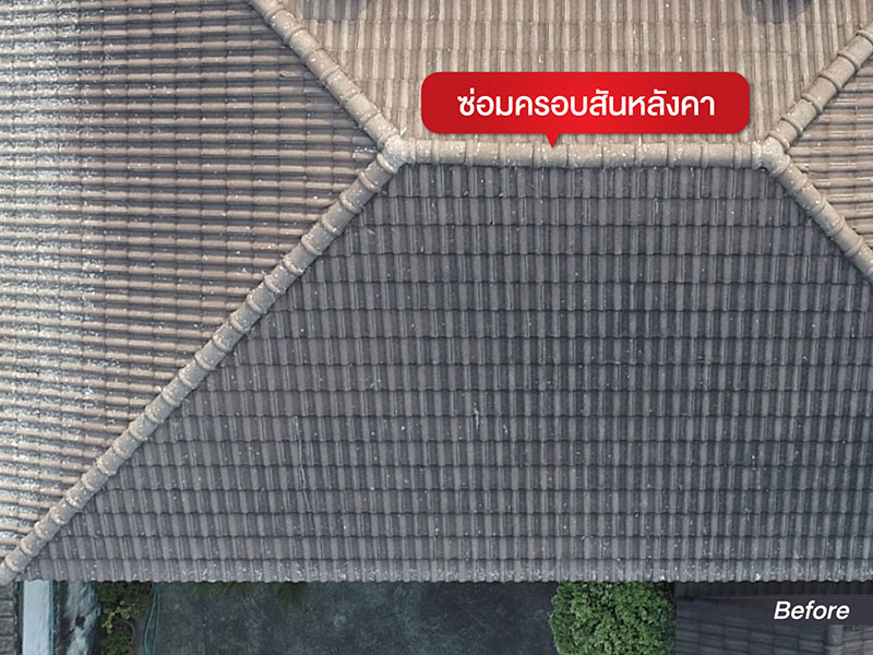 หมดปัญหาหลังคารั่วซึมซ้ำซาก หากเลือกใช้ช่างซ่อมหลังคาชำนาญงาน